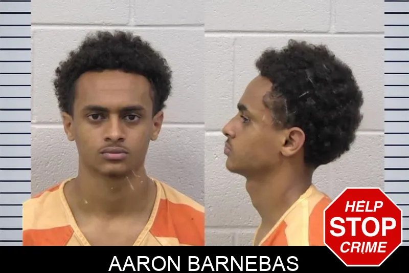 Aaron Barnebas mugshot – Paulding County , Georgia Aaron Barnebas mugshot