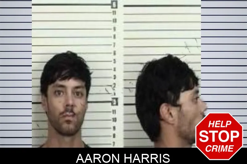 Aaron Harris Mugshots