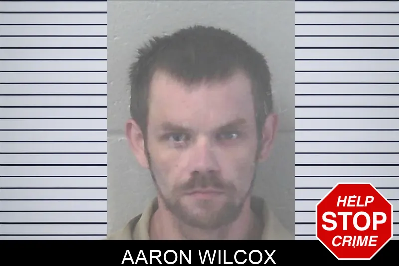 Aaron Wilcox mugshot – Newton County , Georgia Aaron Wilcox mugshot