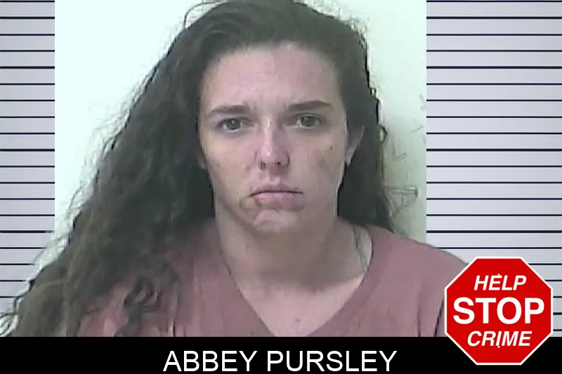 Abbey Pursley mugshot