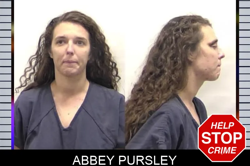 Abbey Pursley Mugshots