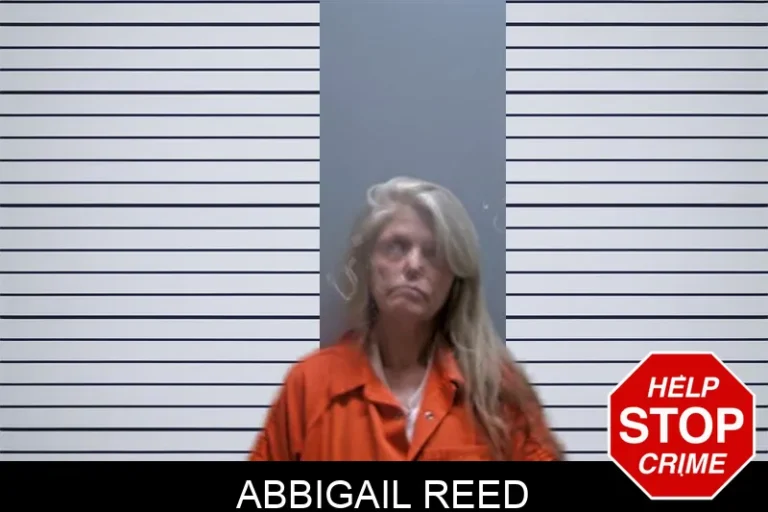 Abbigail Reed
