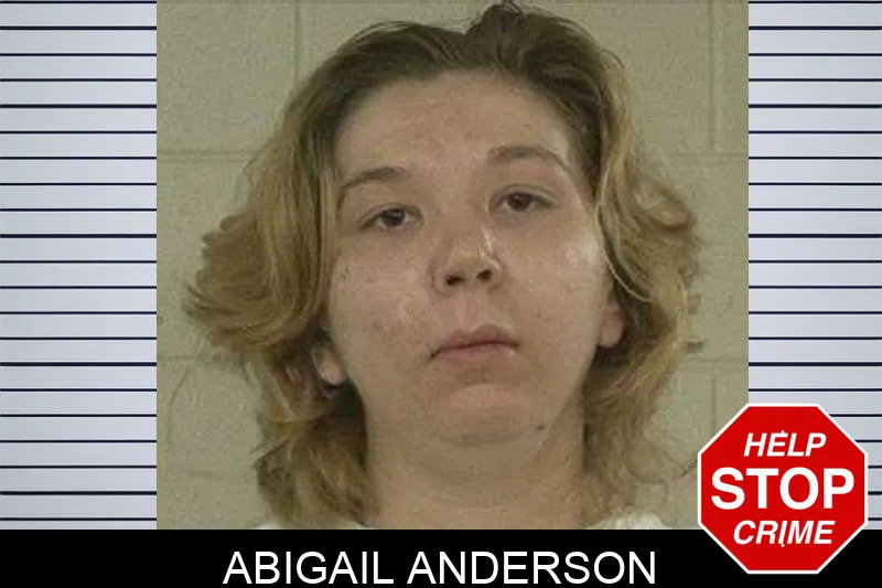 Abigail Anderson Mugshots