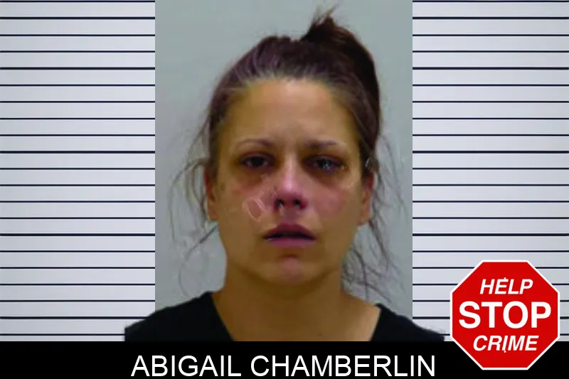 Abigail Chamberlin mugshot
