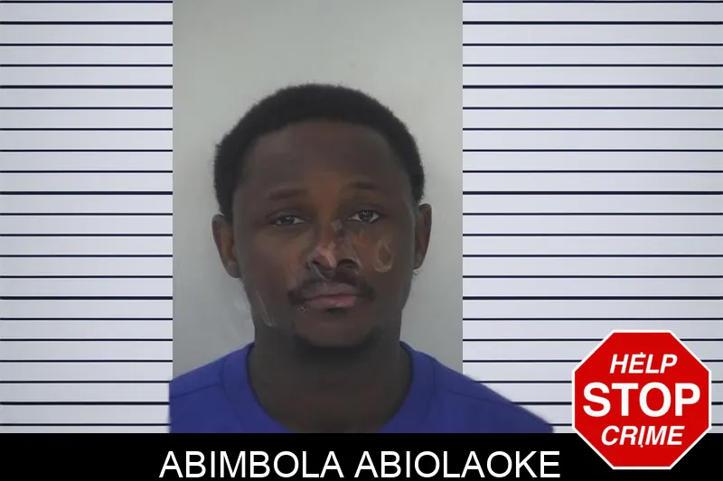 Abimbola Abiolaoke Mugshots