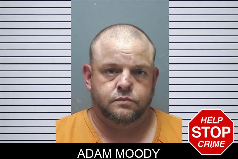 Adam Moody mugshot