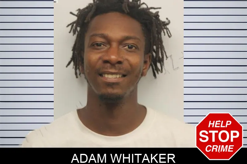 Adam Whitaker Mugshots