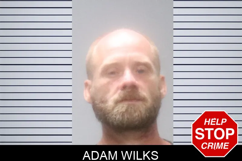 Adam Wilks Mugshots