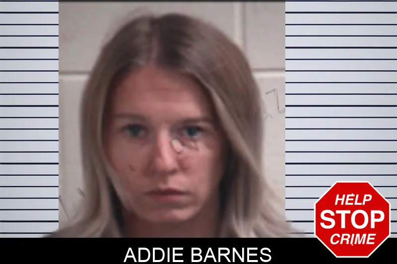 Addie Barnes Mugshots
