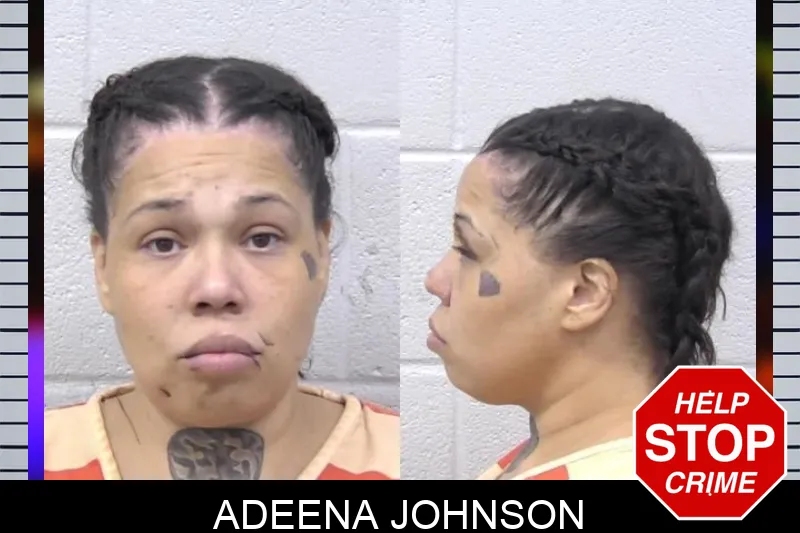 Adeena Johnson mugshot