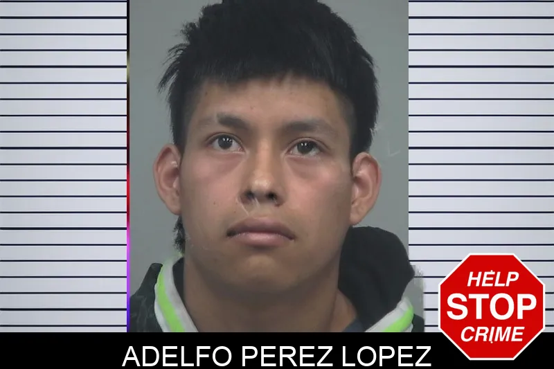 Adelfo Perez Lopez Mugshots