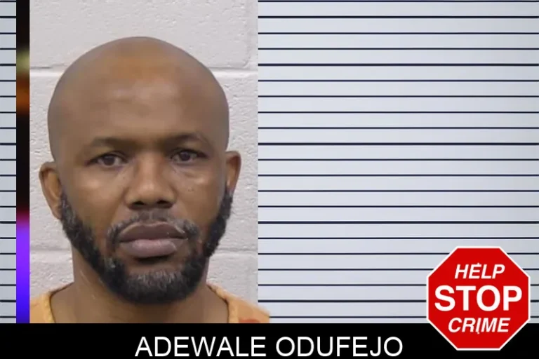 Adewale Odufejo mugshot – Paulding County , Georgia Adewale Odufejo