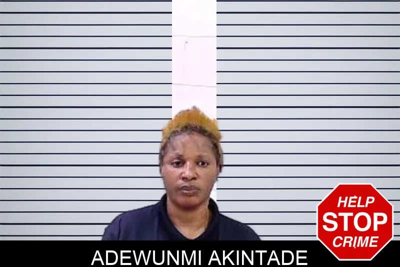 Adewunmi Akintade mugshot – Fulton County , Georgia Adewunmi Akintade mugshot