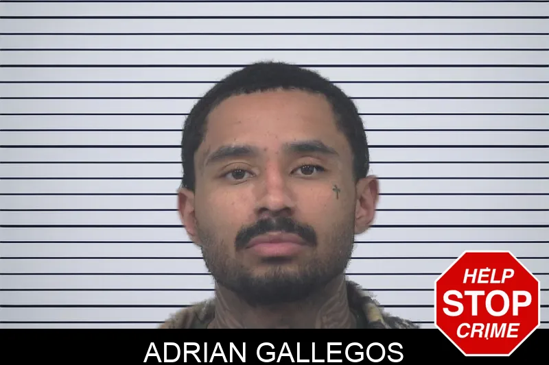 Adrian Gallegos Mugshots