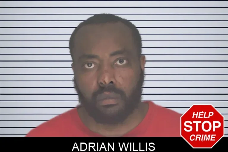 Adrian Willis