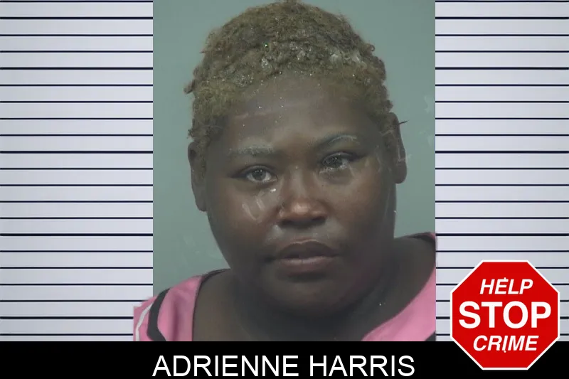 Adrienne Harris Mugshots