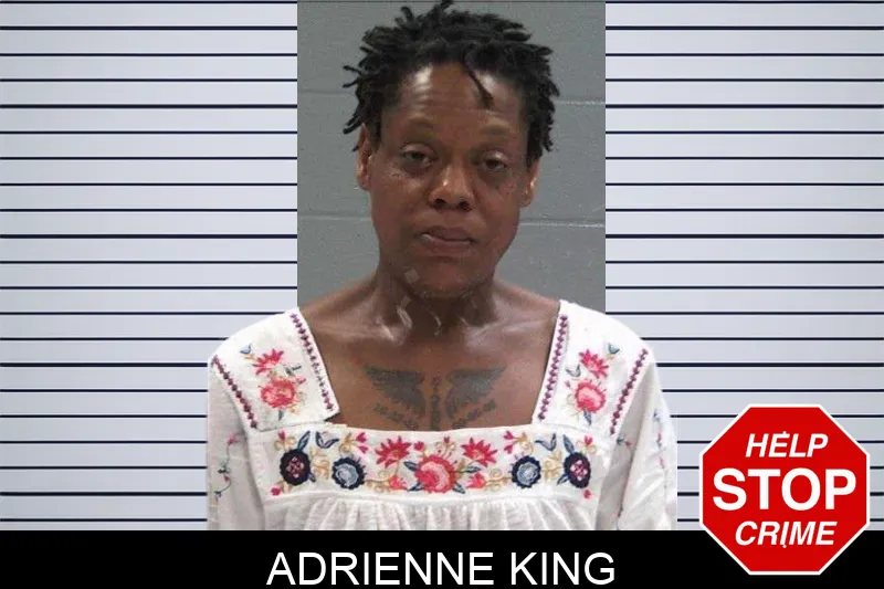 Adrienne King Mugshots