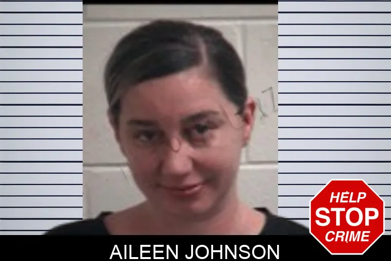 Aileen Johnson mugshot – Henry County , Georgia Aileen Johnson mugshot