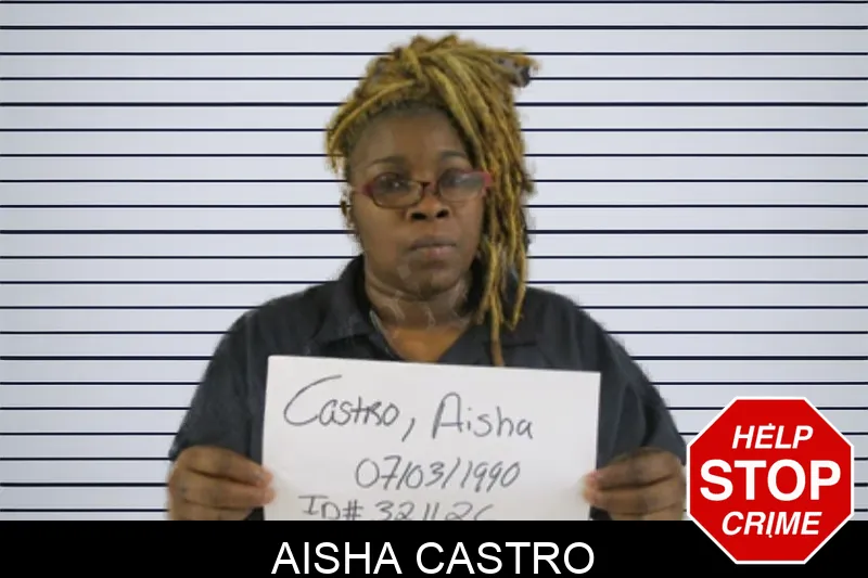 Aisha Castro Mugshots