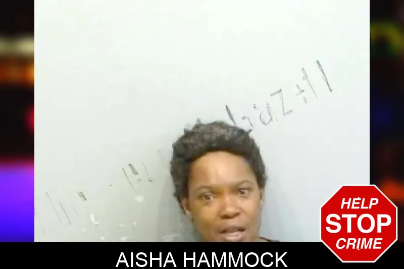 Aisha Hammock mugshot