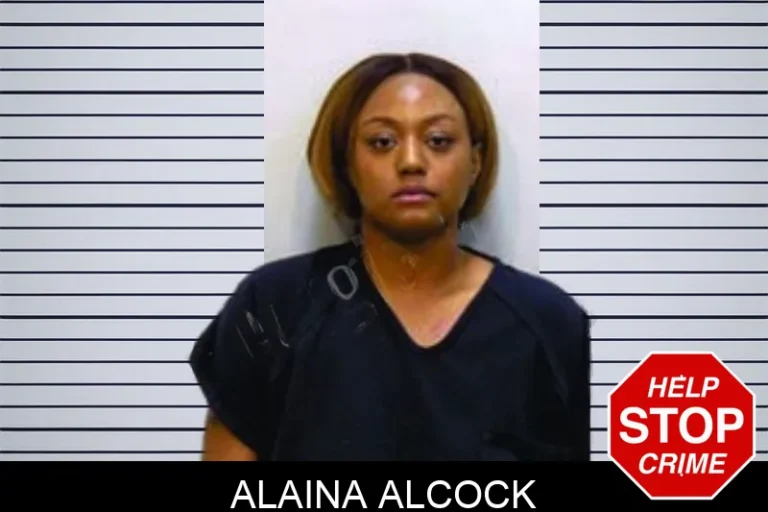 Alaina Alcock