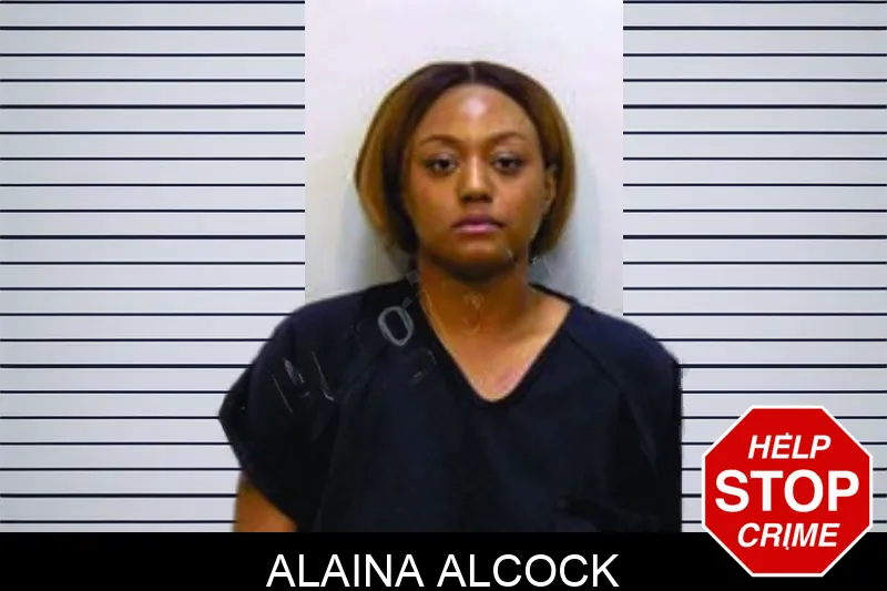 Alaina Alcock Mugshots
