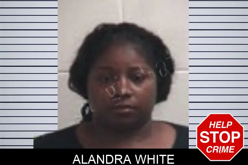 Alandra White Mugshots