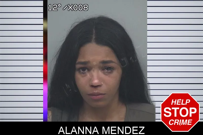 Alanna Mendez Mugshots