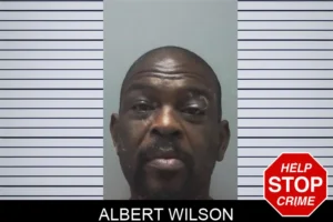 Albert Wilson mugshot