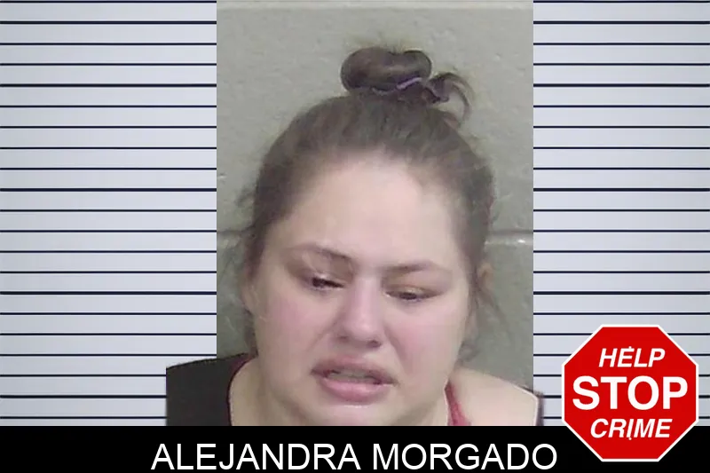 Alejandra Morgado Mugshots