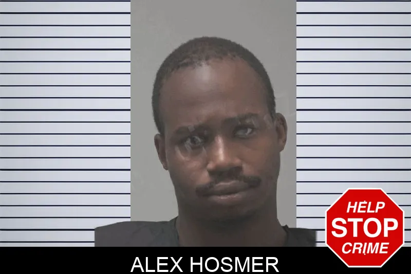Alex Hosmer mugshot