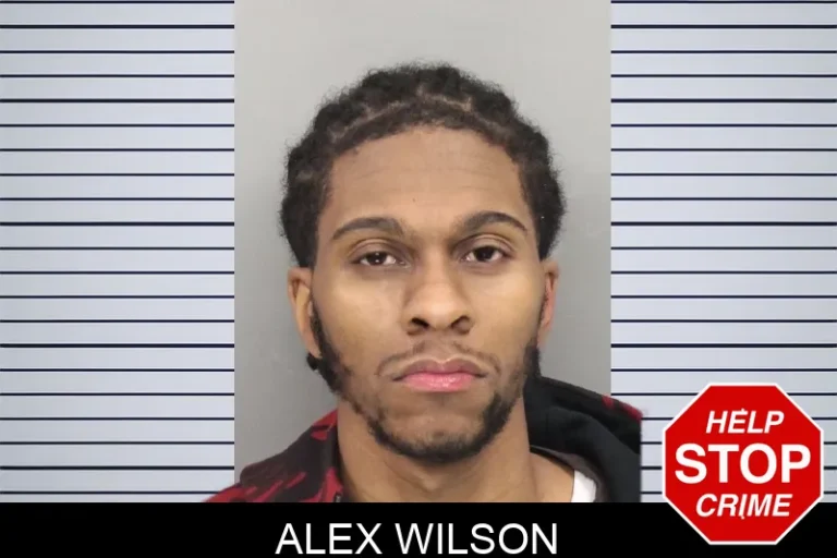 Alex Wilson