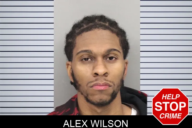 Alex Wilson Mugshots