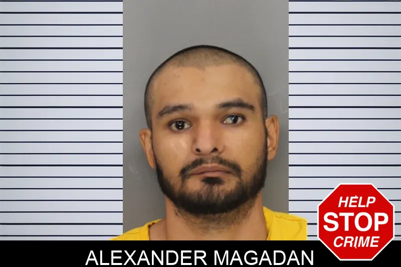 Alexander Magadan Mugshots