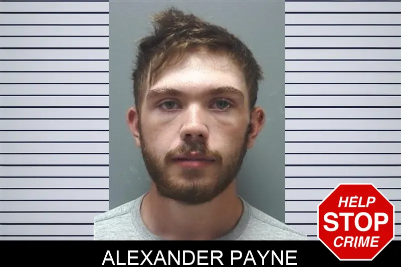 Alexander Payne Mugshots