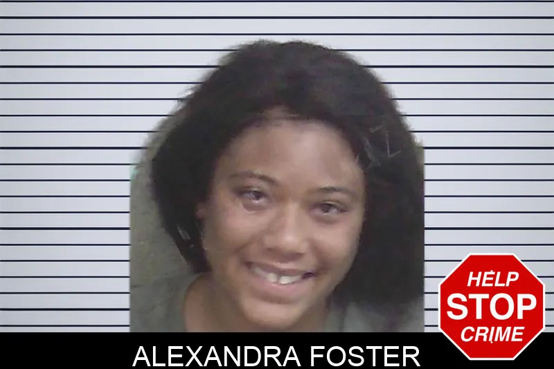 Alexandra Foster mugshot β Wayne County , Georgia Alexandra Foster mugshot