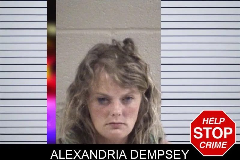 Alexandria Dempsey mugshot – Whitfield County , Georgia Alexandria Dempsey mugshot