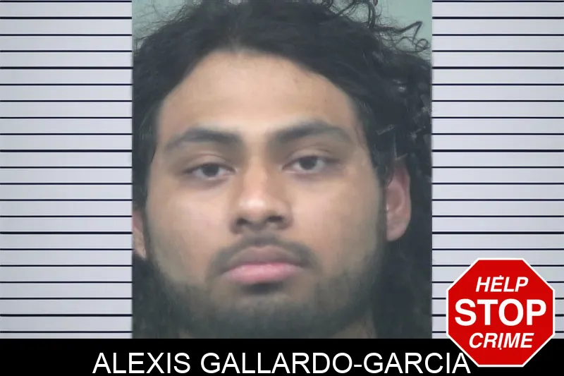 Alexis Gallardo-Garcia mugshot – Gwinnett County , Georgia Alexis Gallardo-Garcia mugshot