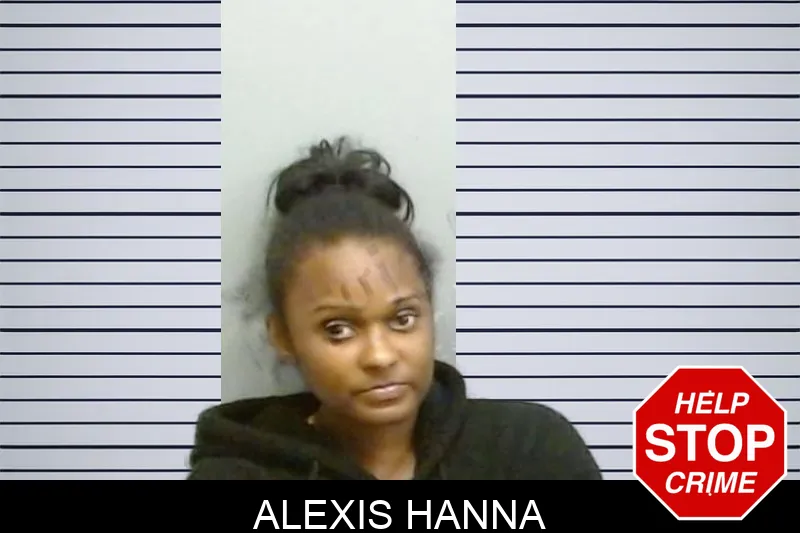 Alexis Hanna mugshot – Fulton County , Georgia Alexis Hanna