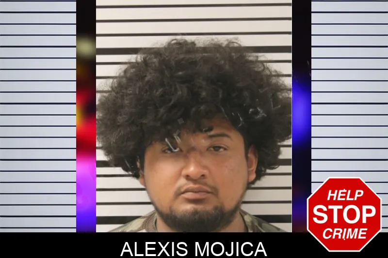 Alexis Mojica Mugshots