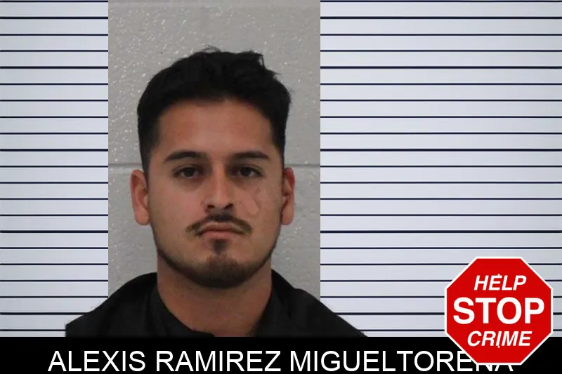 Alexis Ramirez Migueltorena mugshot