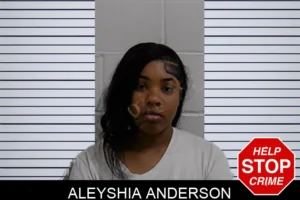 Aleyshia Anderson mugshot