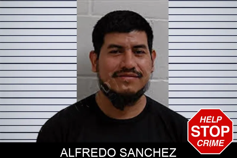 Alfredo Sanchez Mugshots