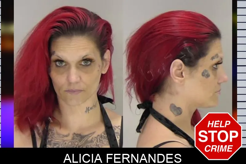 Alicia Fernandes Mugshots