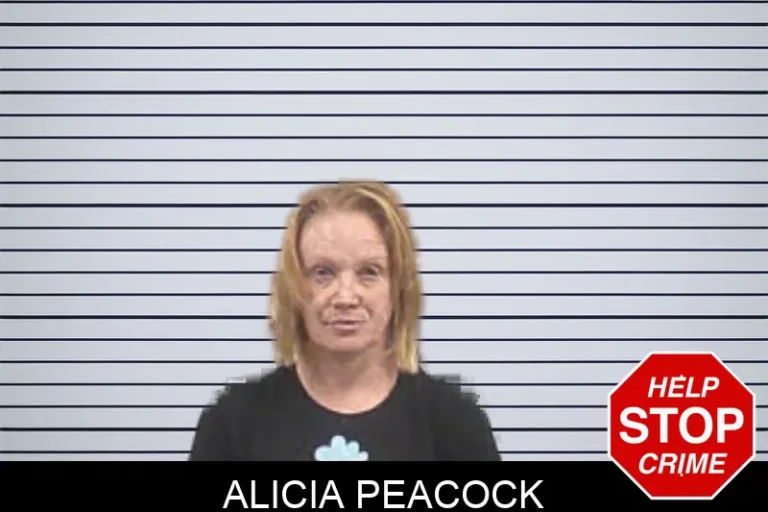 Alicia Peacock mugshot – Banks County , Georgia Alicia Peacock