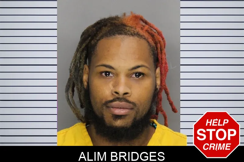 Alim Bridges mugshot – Cobb County , Georgia Alim Bridges mugshot
