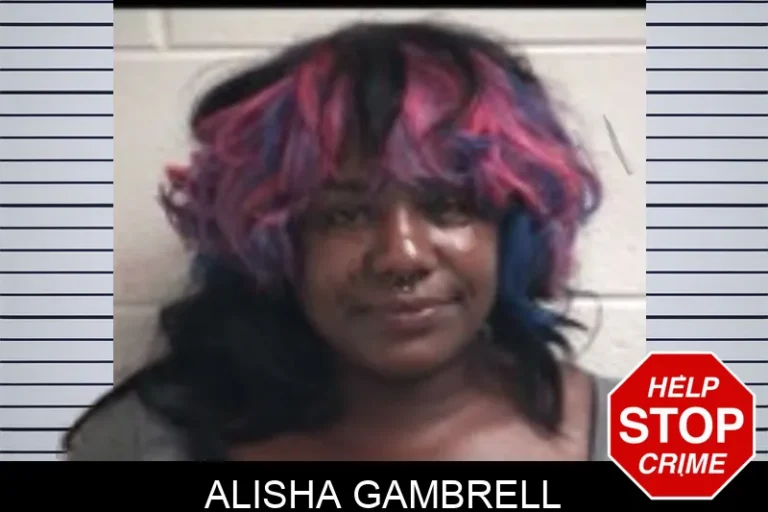 Alisha Gambrell mugshot – Henry County , Georgia Alisha Gambrell