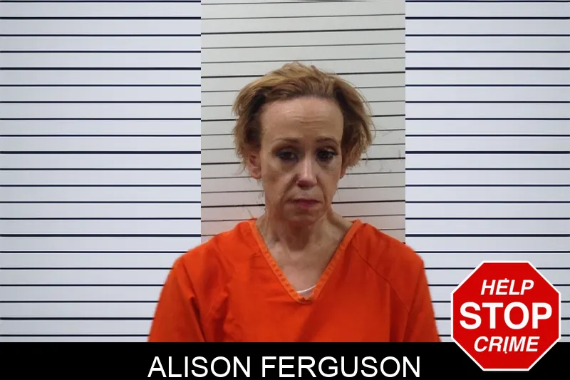 Alison Ferguson Mugshots