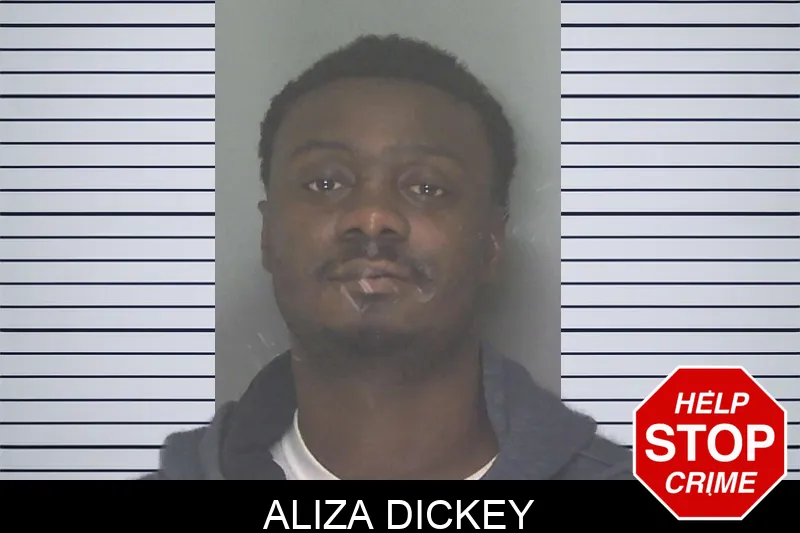 Aliza Dickey mugshot