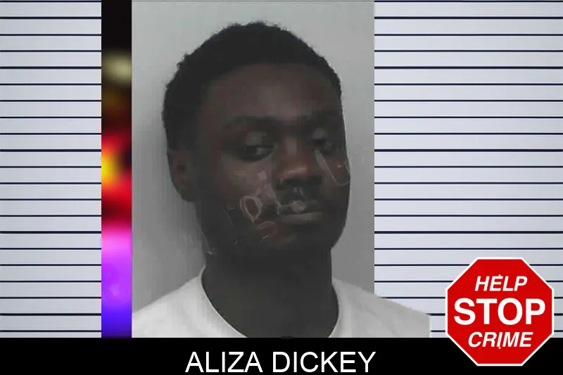 Aliza Dickey Mugshots